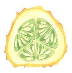 Watercolor hand painted illustrations of jack fruit. Hand drawn tropical juicy food clipart for your design.