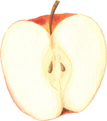 Watercolor hand painted illustrations of apple fruit. Hand drawn tropical juicy food clipart for your design.