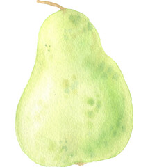 Watercolor hand painted illustrations of pear fruit. Hand drawn tropical juicy food clipart for your design.
