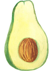 Watercolor hand painted illustrations of avocado. Hand drawn tropical juicy food clipart for your design.