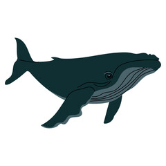 Fototapeta premium Flat illustration of a dark blue humpback whale with minimal detailing. Side view, clean style, perfect for educational materials, marine themed prints, or childrens content. Vector illustration