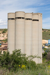 Group of concrete silos rising above green vegetation under blue sky