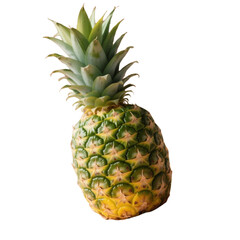 Single ripe pineapple isolated on white background