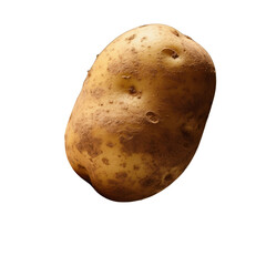 Single russet potato image isolated on white background