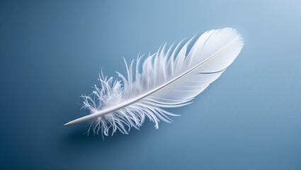 Single white feather lying on a blue background
