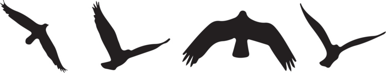 Obraz premium Soaring Silhouette: Capture the graceful flight of birds against a clean backdrop, symbolizing freedom and movement. 