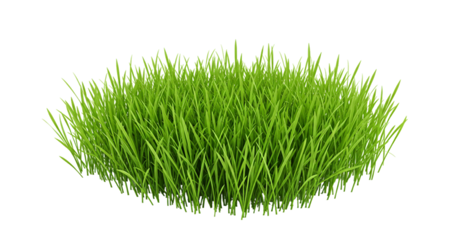 A vibrant patch of emerald green grass symbolizing growth and renewal against a stark contrast on transparent background