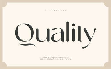 Elegant Font Uppercase Lowercase and Number. Classic Lettering Minimal Fashion Designs. Typography modern serif fonts regular decorative vintage concept. vector illustration