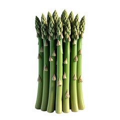A close up shot of a bundle of fresh green asparagus spears isolated on a black background studio shot isolated on transparent background