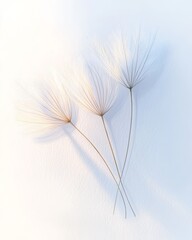 Gouache Dandelion Seeds: Four Stylized Pappus on White