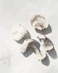 Gouache Porcini Mushrooms: Six Small Fungi on White Background