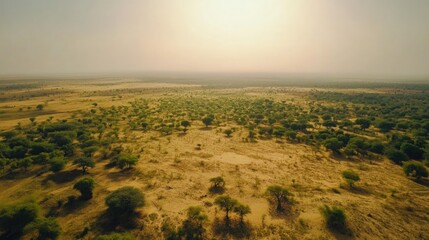 Niger landscape Sahara dunes and Sahel plains beautiful nature view