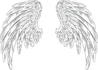 Obraz premium Black and white angel wings sketch vector illustration, Symmetrical design.
