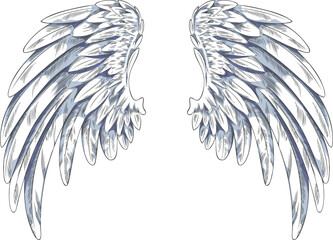 Fototapeta premium Angel wings sketch, pair of heraldic wings bird winged feathers vector hand drawn illustration, freedom heaven symbol