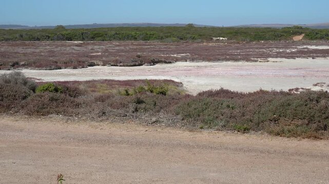 Close view of salt lake with scrubs being blown by the wind