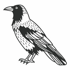 A striking black crow, either a vector illustration or perched on a branch, stands out against a clean white background