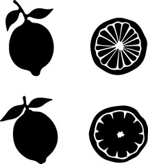 Citrus Fruit Silhouettes Collection vector