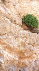 Massive stone blocks appear shattered yet aligned, horizontal layers arching gently like petrified dunes. Small cave hints at weathered refuge. Living record of desert transformation.