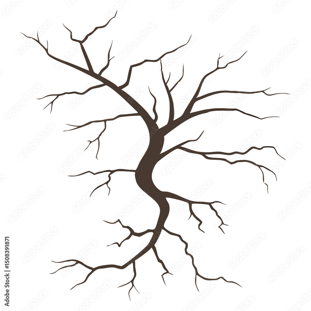 Aufkleber a bare tree with a winding trunk and many branches silhouetted against a white background scene view