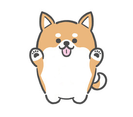 両手を挙げるぽっちゃり柴犬