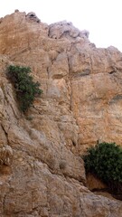 Ras Al Khaimah, UAE - March 26, 2025:Cross emerges through natural stone formation as green plants...