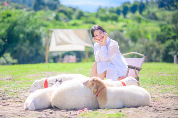 beautiful asian woman wearing a sheer white outfit smiles happily while sitting beside resting sheep in a sunny green countryside field.