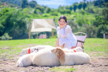 beautiful asian woman wearing a sheer white outfit smiles happily while sitting beside resting sheep in a sunny green countryside field.