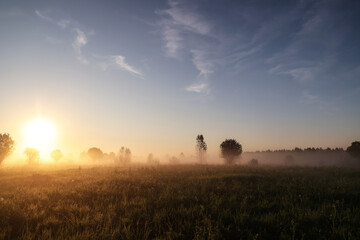 Misty landscape at dawn. The sun rises over a field and trees