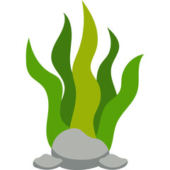Seaweed Illustration