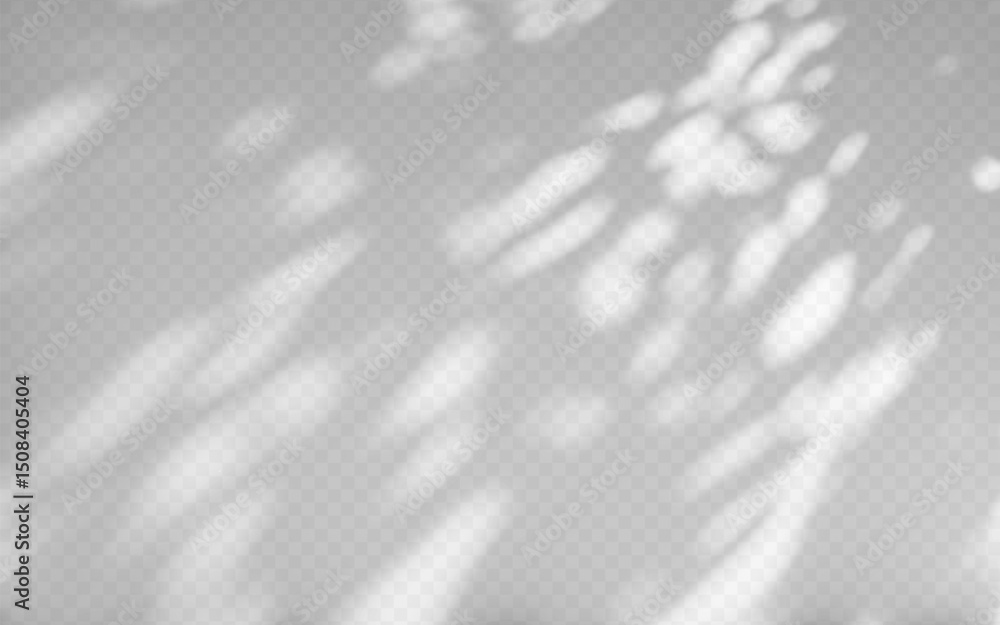 Wall mural abstract shadow overlay from tree branch on a transparent background.