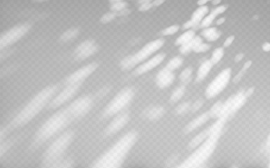 Obraz premium Abstract shadow overlay from tree branch on a transparent background.