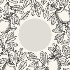 Yerba maté card for text. Hand drawn engraved border with tea branch, leaves, pumpkin calabash, fruits. Vector botanical illustration for logo, label, template print. Food, drink, medical plants