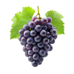 Fototapeta premium Fresh Grapes Isolated on Transparent Background for Culinary Use