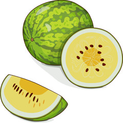 Whole and chopped Yellow Doll Watermelon. Citrullus lanatus. Vegetables. Clipart. Isolated vector illustration.
