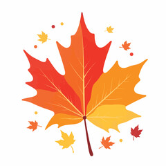 Vibrant autumn maple leaf on white background, seasonal beauty
