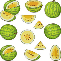 Set of Yellow Doll Watermelon. Citrullus lanatus. Fruits and vegetables. Clipart. Isolated vector illustration.