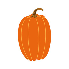 Orange Pumpkin in flat style on a white background. Harvest season, autumn vegetables
