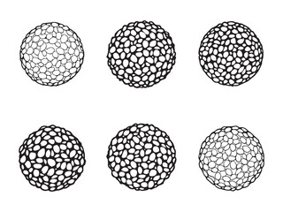 Lentils line art illustration