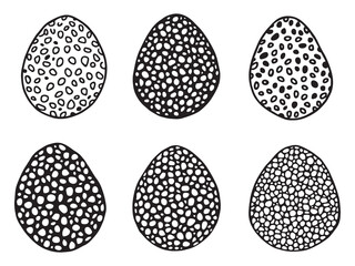 Lentils line art illustration