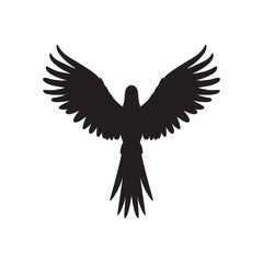 Obraz premium macaw parrot bird silhouette