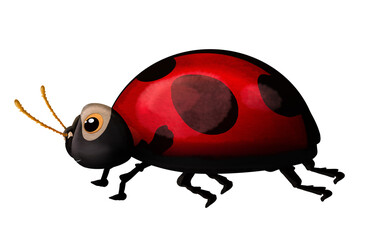 Obraz premium Watercolor Ladybug Picture isolated on white background.