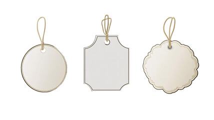 Three blank tags of varying shapes circle, square, and cloud hang from twine, ideal for design mockups or branding isolated on transparent or white background. Generative ai