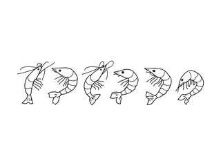Shrimp vector line art illustration