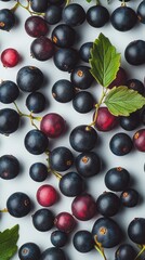 Bright blackcurrants display their vibrant deep hue and strong flavor on a white background, showcasing the freshness of this nutritious fruit ideal for culinary uses or snacking