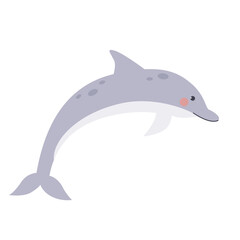 A cute dolphin vector illustration on isolated white background.
