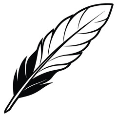 Obraz premium feather on white background