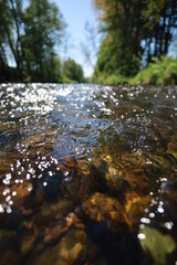 The water is clear and calm, with a few rocks scattered throughout