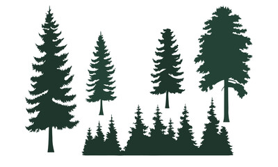 Obraz premium Evergreen Pine Tree Silhouettes vector