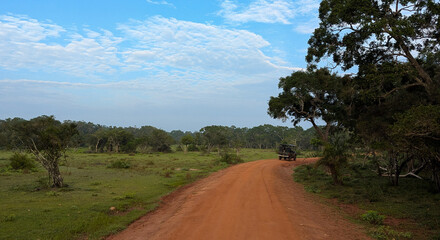 Scenic landscape view of 4WD trucks driving on trail on wildlife safari in Wilpattu National Park Sri Lanka © Travelanza