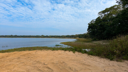 Scenic panoramic view during wildlife safari overlooking lake in Wilpattu National Park Sri Lanka